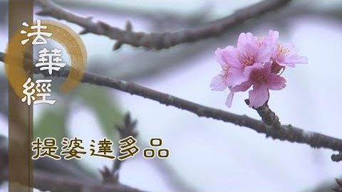 《法華經 提婆達多品》- 弘揚諸權 終歸一乘 - 第1344集