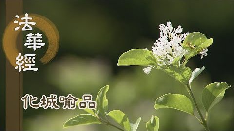 《法華經 化城喻品》 - 根塵和合 因緣生滅 - 第1043集