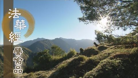《法華經 譬喻品》覺性慧海 根深道堅 - 第720集