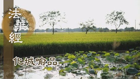 《法華經 化城喻品》 - 慧心安忍 信解真實 - 第1085集