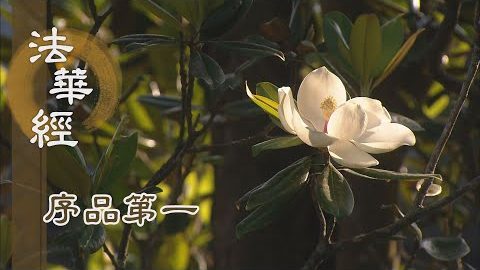 《法華經 序品第一》- 遵佛遺教 - 第15集