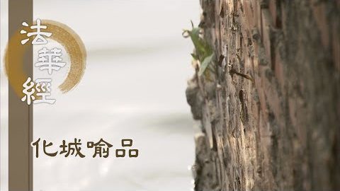 《法華經 化城喻品》 - 久漸熏習 夙因不昧 - 第1067集