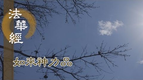《法華經 如來神力品》寶處三昧 法寶富饒 - 第1776集