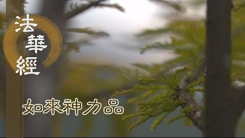 《法華經 如來神力品》 成就本願 做所應作 - 第1796集