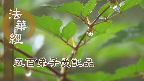 《法華經 五百弟子受記品》- 說法無畏 具四無礙 - 第1133集