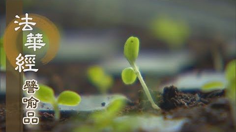 《法華經 譬喻品》自作業因 自受果報 - 第701集