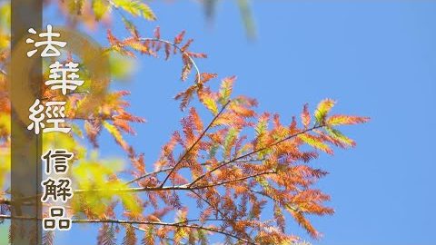 《法華經 信解品》智慧平齊明事理 - 第808集