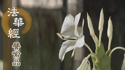 《法華經 譬喻品》六度十力 離垢莊嚴 - 第505集
