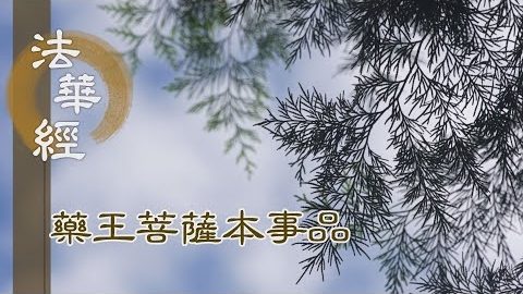 《法華經 藥王菩薩本事品》如來光明 遍照十方 - 第1849集