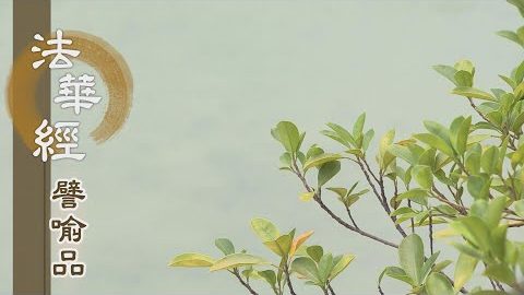 《法華經 譬喻品》恆慈教化 精勤度眾 - 第487集
