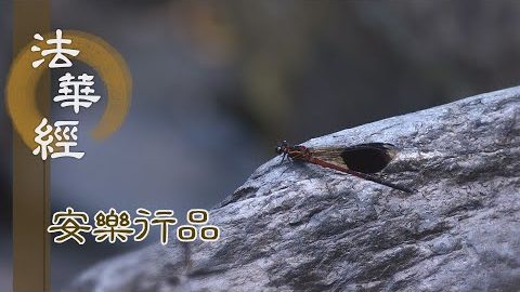 不求精進 是謂大失 - 第1434集