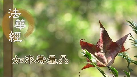 眾生信伏 質直柔軟 - 第1546集