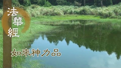 《法華經 如來神力品》持經樂說 能除暗障 - 第1795集