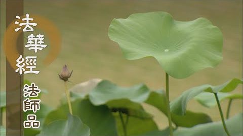 《法華經 法師品》- 滅盡五蘊 法空度生 - 第1249集