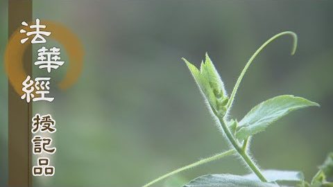 《法華經 授記品》 - 三業清淨 見者歡喜 - 第937集