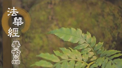 《法華經 譬喻品》同入菩薩行門 - 第565集