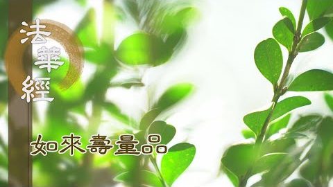 佛如良醫 善治眾病 - 第1533集