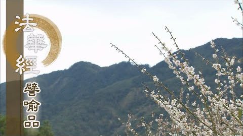 《法華經 譬喻品》正法如印 證真明實 - 第689集