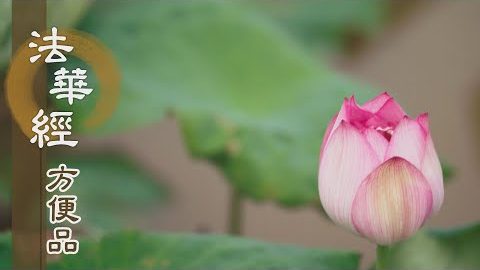 勤修妙法入菩提 - 第349集