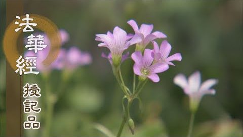 《法華經 授記品》 - 修持萬行 福慧具足 - 第930集