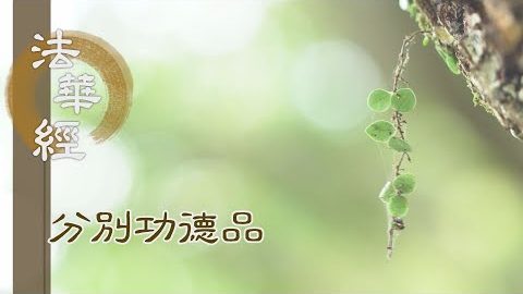 五種法師 續佛慧命 - 第1599集