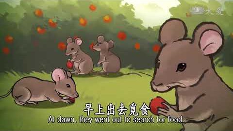 No.117 鼠王与毛狸