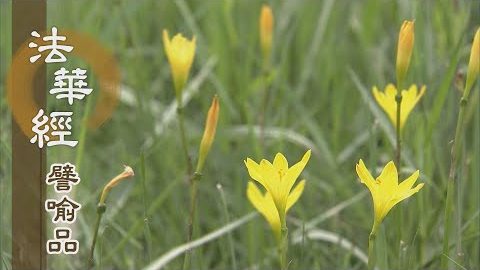 《法華經 譬喻品》三轉四諦法輪 - 第652集