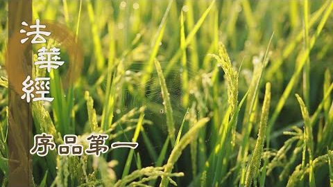 《法華經 序品第一》- 轉煩惱成菩提 - 第31集