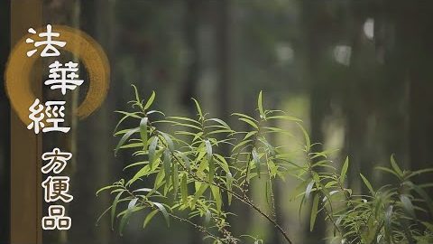 設權導實 引入佛道 - 第339集
