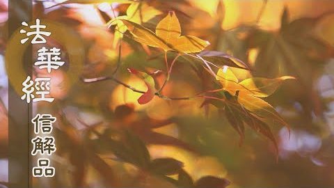《法華經 信解品》實諦理觀 六度萬行 - 第736集