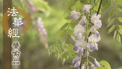 《法華經 譬喻品》窮衰醜病為衣服 - 第706集