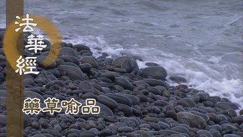 《法華經 藥草喻品》 - 說法平等 一心無差 - 第919集