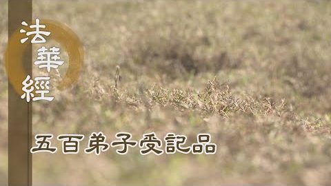 《法華經 五百弟子受記品》- 遠劫勤修 國土清淨 - 第1136集