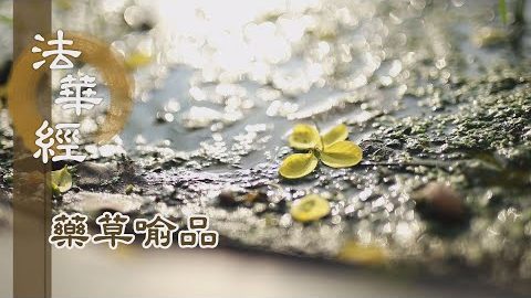 《法華經 藥草喻品》 - 恆為一切 平等說法 - 第910集