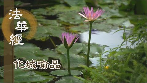 《法華經 化城喻品》- 導師領眾 避難過險 - 第1099集