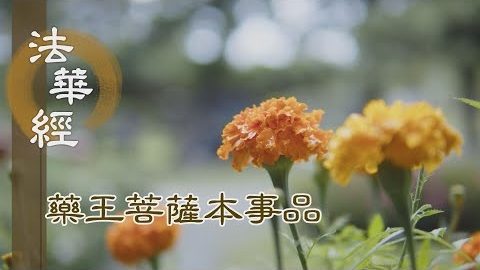 《法華經 藥王菩薩本事品》 廣行六度 淨六根塵 - 第1820集