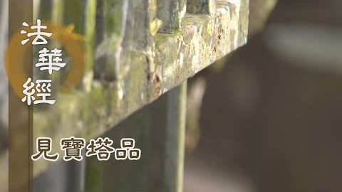 《法華經 見寶塔品》- 身行為證 離言之道 - 第1314集