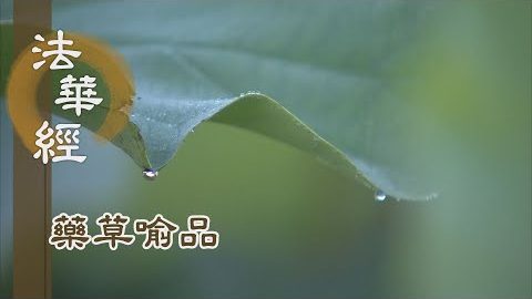 《法華經 藥草喻品》 - 日光揜蔽 地上清涼 - 第899集