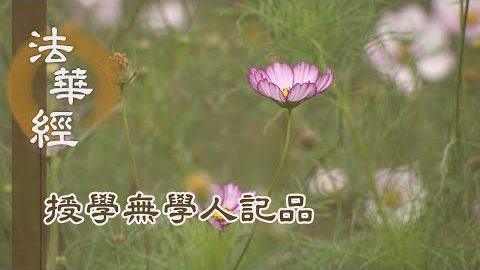 《法華經 授學無學人記品》- 授記學無學人 - 第1163集