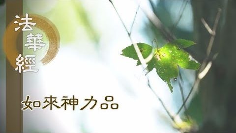 《法華經 如來神力品》救世大覺 遍知無礙 - 第1790集