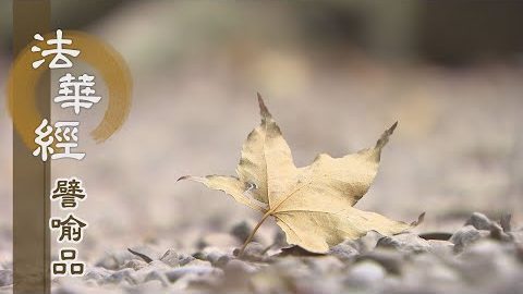 《法華經 譬喻品》妙覺中道無量義 - 第665集
