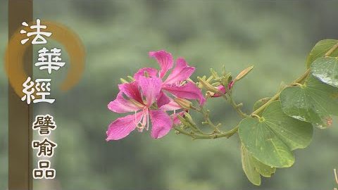 《法華經 譬喻品》現受眾苦 淨心得離 - 第587集