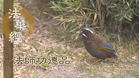 萬法之體 法性妙身 - 第1713集