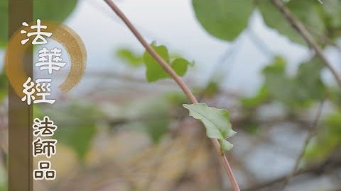 《法華經 法師品》- 安住三法 弘經不怠 - 第1242集