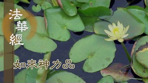 《法華經 如來神力品》破無明惑 轉障成德 - 第1773集