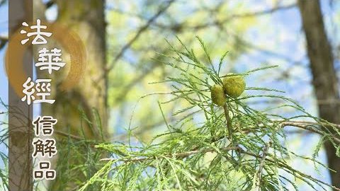 《法華經 信解品》當願希取大乘智慧 - 第850集