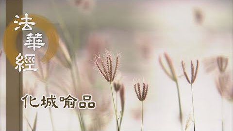 《法華經 化城喻品》 - 敬樹如敬佛 - 第1010集