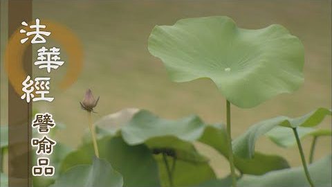 《法華經 譬喻品》妄計執見離因果 - 第524集
