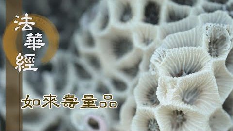 放逸五欲 墮於惡道 - 第1554集