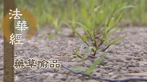 《法華經 藥草喻品》 - 善知無漏 三明六通 - 第914集